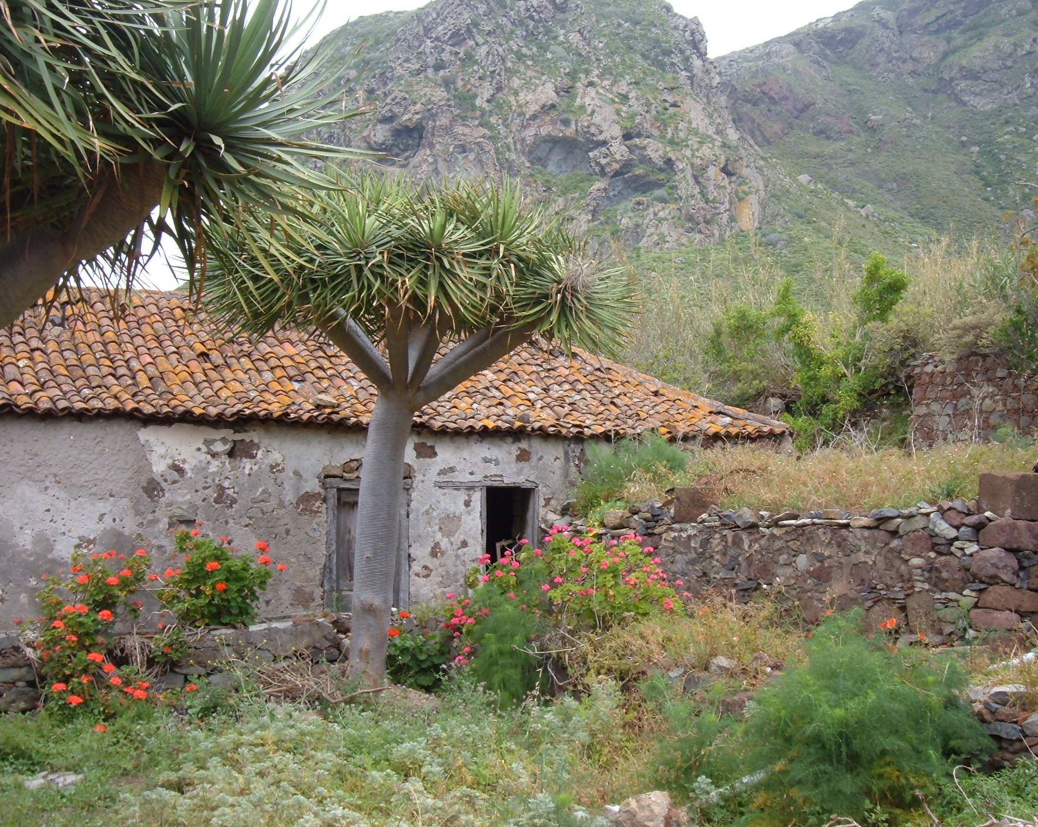 proyectos de restauración ecológica y paisajística